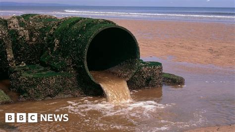 the leakbay|Massive Sewage Leak in East Bay Marsh Resumes as Crews Try。